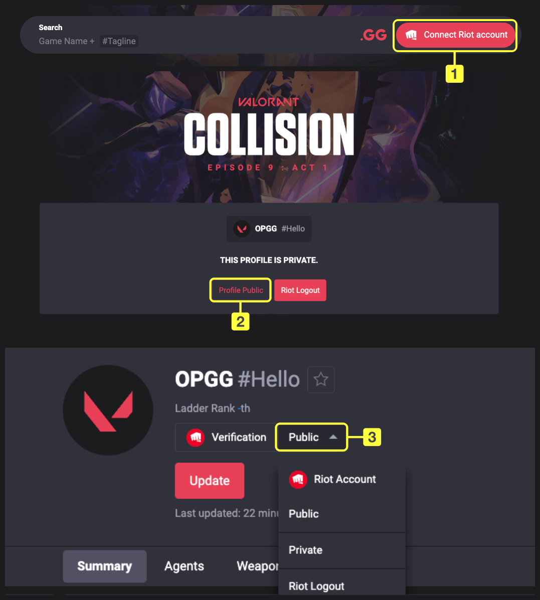 如何设置个人资料为公开或私密– OP.GG 帮助中心